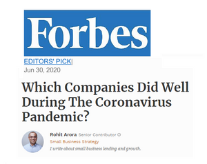 Which Companies Did Well During Coronavirus